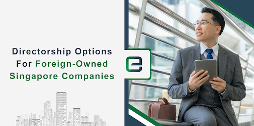 Directorship Options for Foreign-Owned Singapore Companies