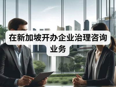 在新加坡开办企业治理咨询业务
