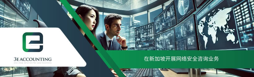 在新加坡开展网络安全咨询业务
