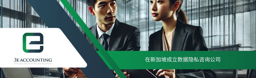在新加坡成立数据隐私咨询公司