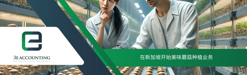 在新加坡开始美味蘑菇种植业务