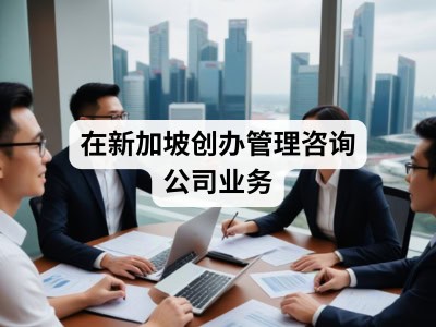 在新加坡创办管理咨询公司业务