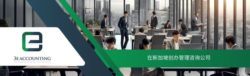 在新加坡创办管理咨询公司