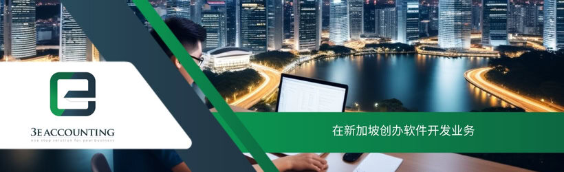 在新加坡创办软件开发业务