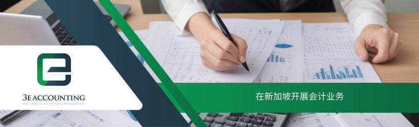 在新加坡开展会计业务