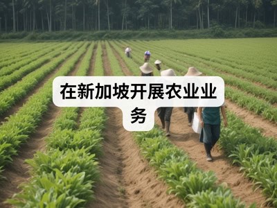 在新加坡开展农业业务