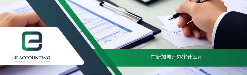 在新加坡开办审计公司