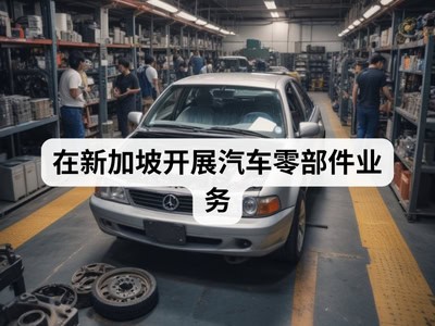在新加坡开展汽车零部件业务