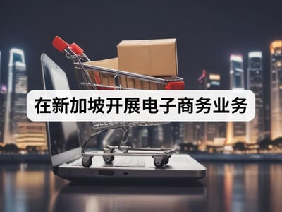 在新加坡开展电子商务业务