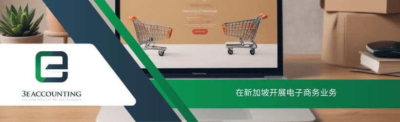 在新加坡开展电子商务业务