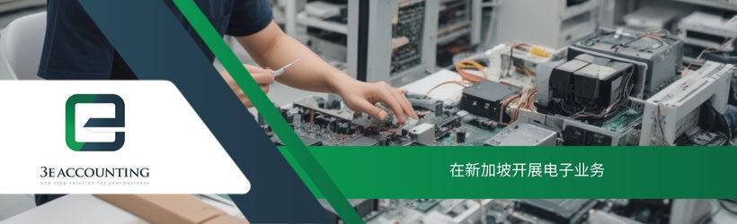 在新加坡开展电子业务