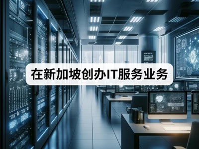 在新加坡创办IT服务业务