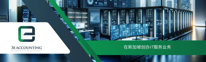 在新加坡创办IT服务业务