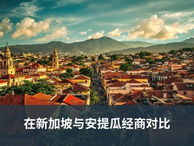 在新加坡与安提瓜经商对比
