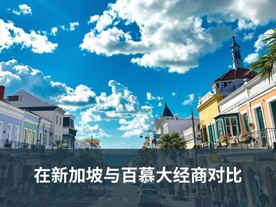 在新加坡与百慕大经商对比
