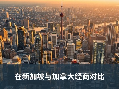 在新加坡与加拿大经商对比