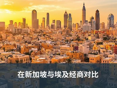 在新加坡与埃及经商对比