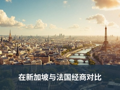 在新加坡与法国经商对比