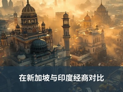 在新加坡与印度经商对比