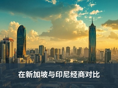 在新加坡与印尼经商对比