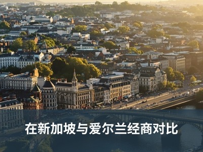在新加坡与爱尔兰经商对比