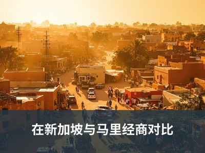 在新加坡与马里经商对比