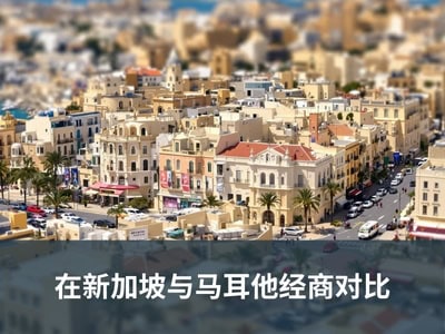 在新加坡与马耳他经商对比