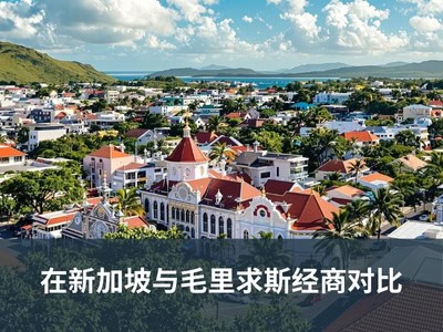 在新加坡与毛里求斯经商对比