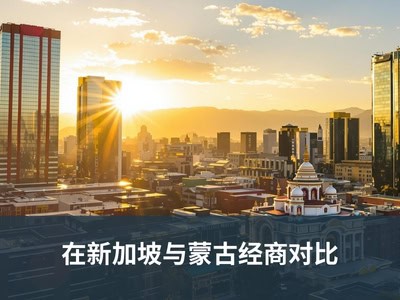 在新加坡与蒙古经商对比