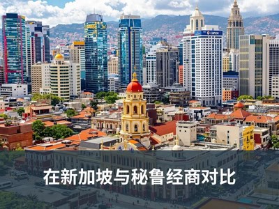 在新加坡与秘鲁经商对比