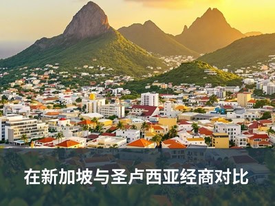 在新加坡与圣卢西亚经商对比