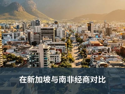 在新加坡与南非经商对比