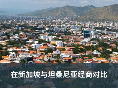 在新加坡与坦桑尼亚经商对比