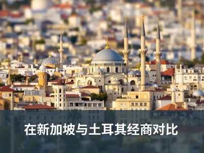 在新加坡与土耳其经商对比