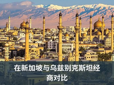 在新加坡与乌兹别克斯坦经商对比