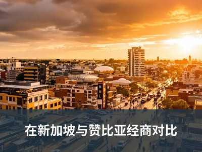 在新加坡与赞比亚经商对比