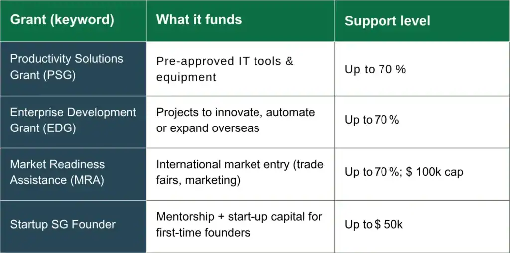 Table showing business grants, their funding purpose, and support levels. 