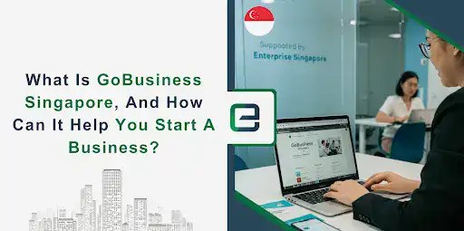 Visual of a person using the GoBusiness Singapore website with text asking how it helps start a business.